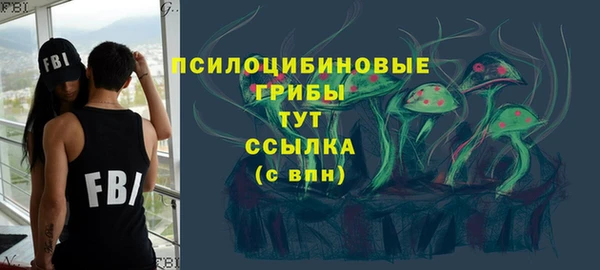а пвп мука Алзамай