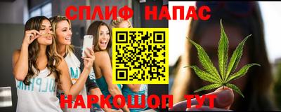 Альфа ПВП Заволжье