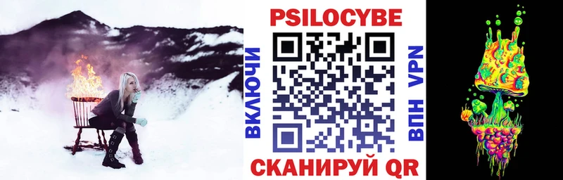 купить   Аша  Галлюциногенные грибы GOLDEN TEACHER 