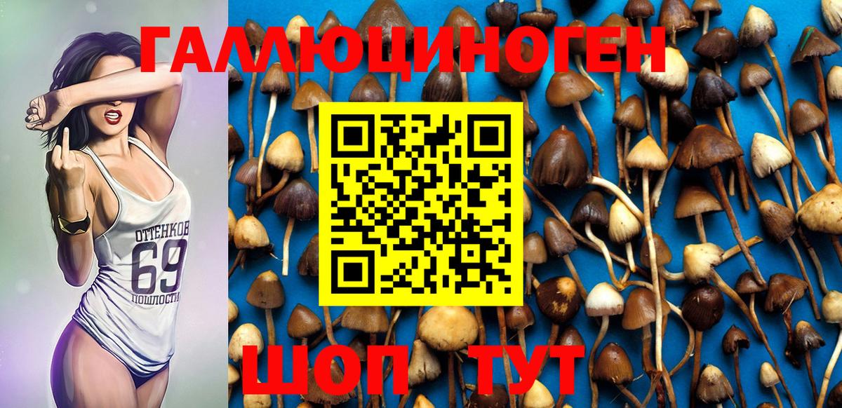 Галлюциногенные грибы MAGIC MUSHROOMS  Вход с VPN  Аша 